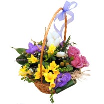 Aranjament Floral Cosulet cu frezii trandafiri lalele si orhidee vanda