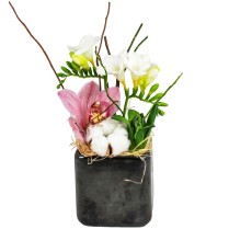 Cub cu frezii, cymbidium si bumbac