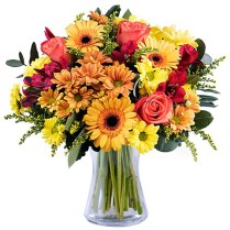 Buchet trandafiri gerbera crizantema si alstroemeria