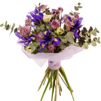Cel mai frumos buchet :5 irisi