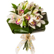 Buchetul contine: 17 cupe orhidee cymbidium