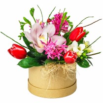 Cutie cu lalele, zambile, frezii si cymbidium