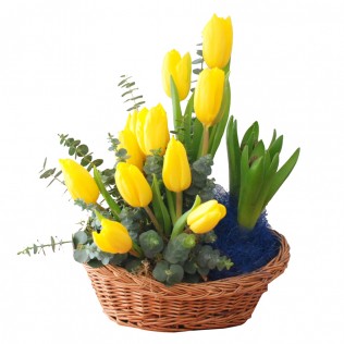 Aranjament floral cosulet cu lalele galbene si zambile