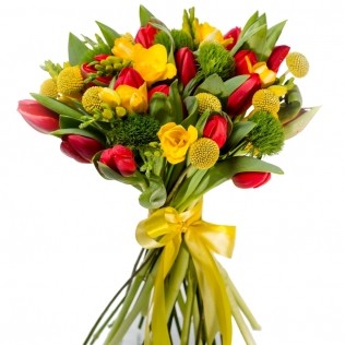 buchet lalele rosii frezii galbene craspedia greentrick,Buchetul standard: 17 lalele rosii, 5 greentrick
