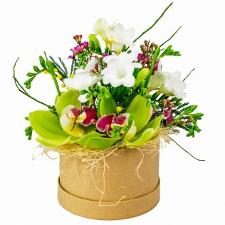 Flori in cutie cymbidium