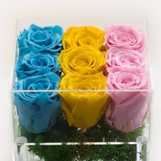 Set 9 Trandafiri criogenati in cutie pret