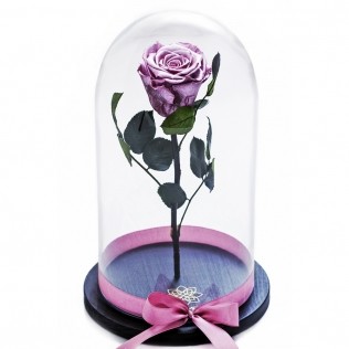 Trandafir criogenat in cupola pret roz metalizat Bucuresti Ilfov