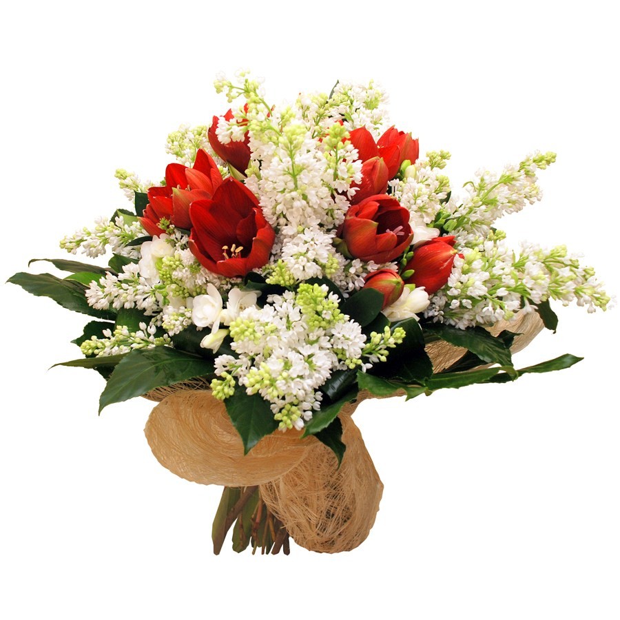 buchet amarilis
