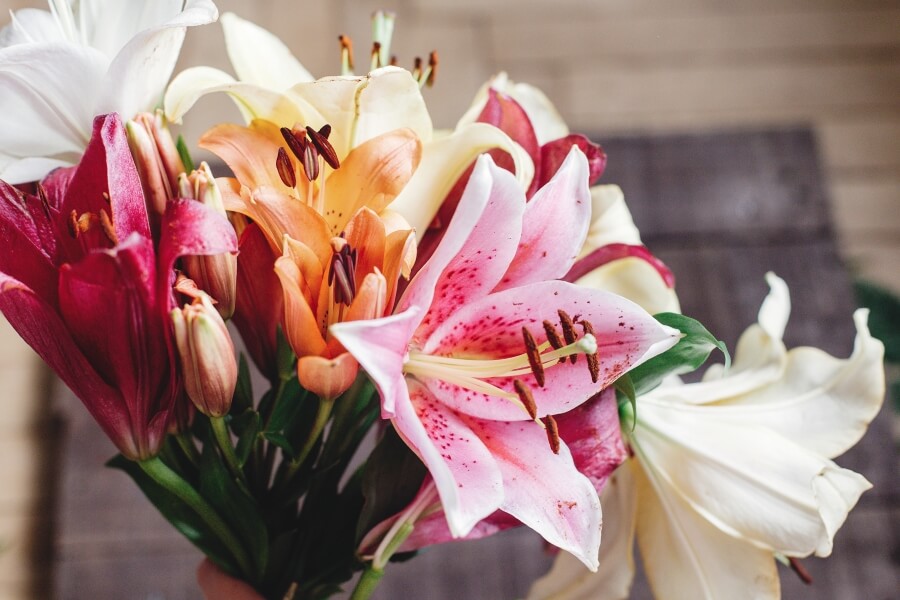 Crinul Amaryllis in aranjamente florale