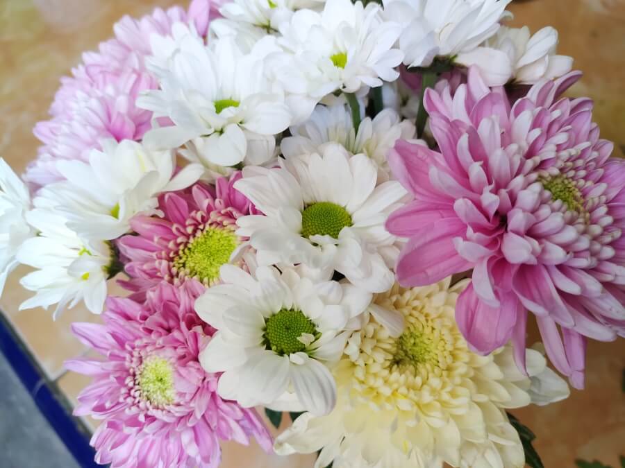 buchet vesel cu crizanteme multicolore
